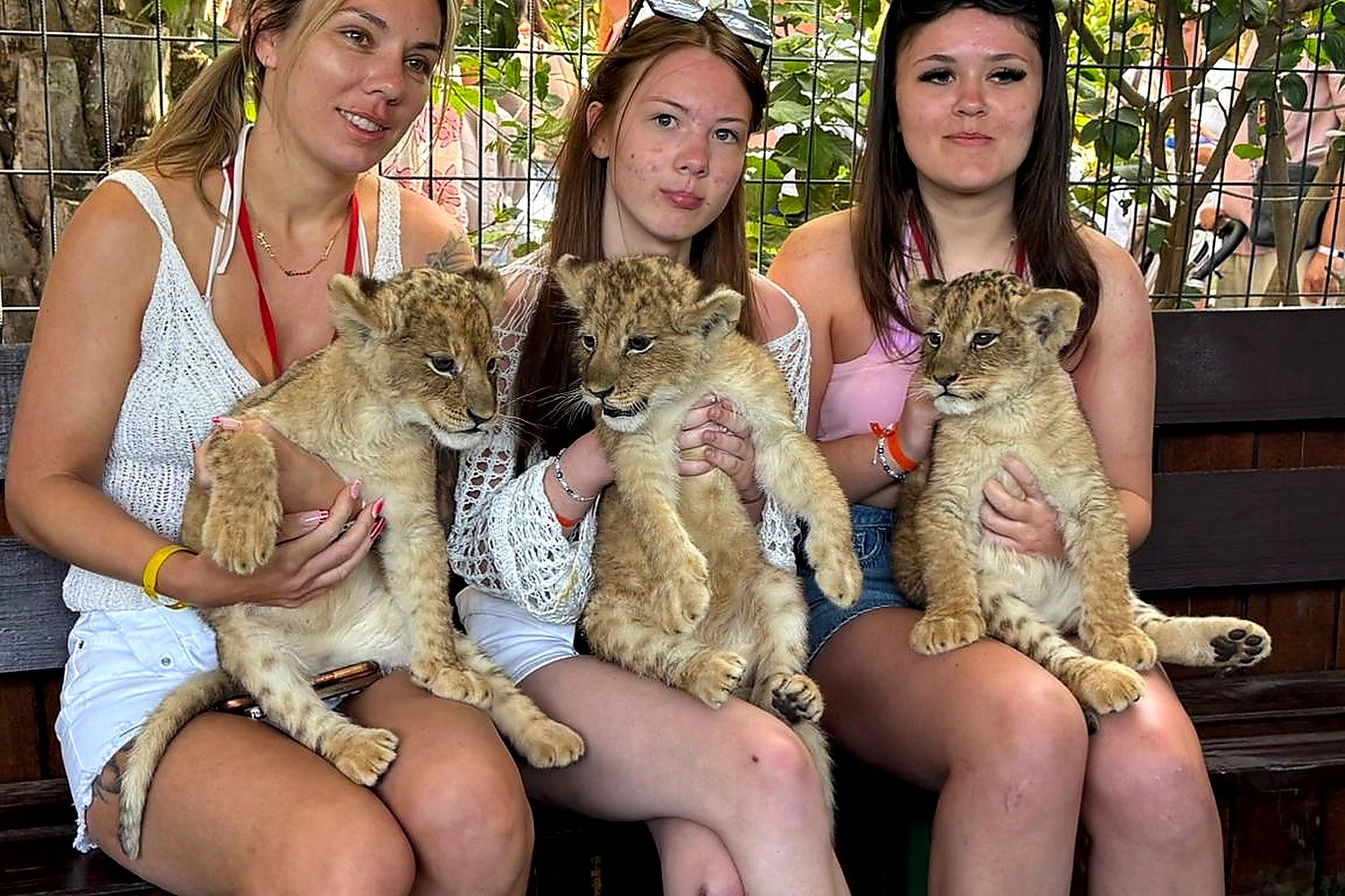 Green Canyon Boat Trip & Lion Park Safari from Side