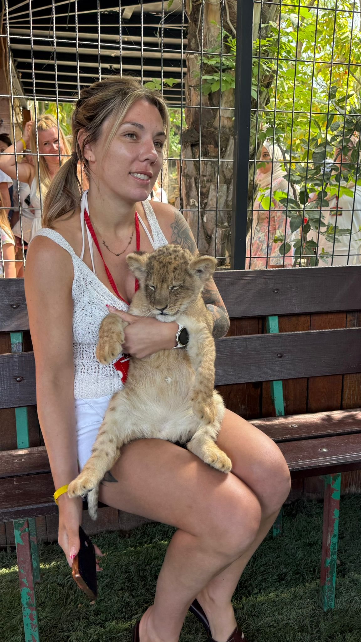 Private Lion Encounter & Zoo Experience From Alanya - Side Region