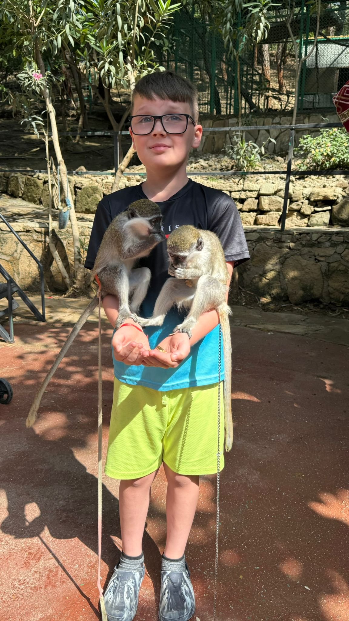 Private Lion Encounter & Zoo Experience From Alanya - Side Region